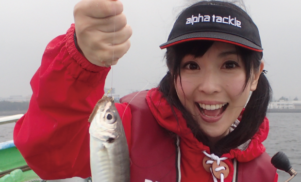 アルファタックルで釣りたい！人気釣具ブランドのおすすめアイテムをチェック