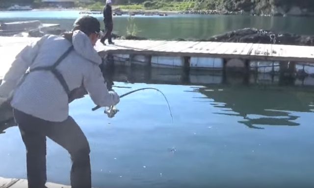 海上釣り堀のテクニック特集 どんなふうに釣ればいいの 初心者におすすめの釣り方