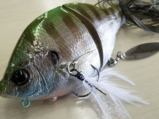 緊急スクープ テイルウォーク限定カラーのゾーイ発売が決定