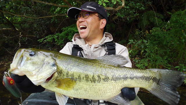 ザラを使ってビッグバスを釣りたい 定番ペンシルの使い方やおすすめタックル特集
