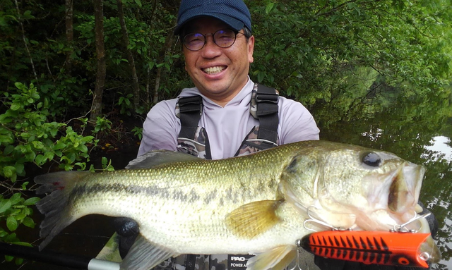 稚魚の近くに潜むビッグバスを釣りたい 釣り方とおすすめルアーをピックアップ