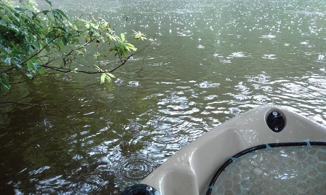 雨の日は釣れる ってホント 釣り方や快適に過ごすのにおすすめのアイテムをチェック 釣りニュース 釣割