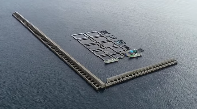 神奈川県でに人気の海上釣り堀 みうら海王 ってどんなところなの