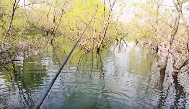 入鹿池でバス釣りを楽しみたい どんな釣り方をすればいいの おすすめルアーはこちら