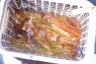 釣行の写真