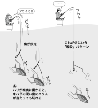 置き竿でバラすときの一例とバラさないための対策