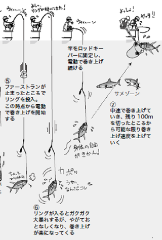 コマセワークの図