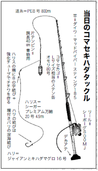 大物釣りビギナーのドリームチャレンジ 第6回 根性の即合わせで待望のヒット 置き竿 電動巻き上げ釣法で獲ったぞキハダ26 9kg