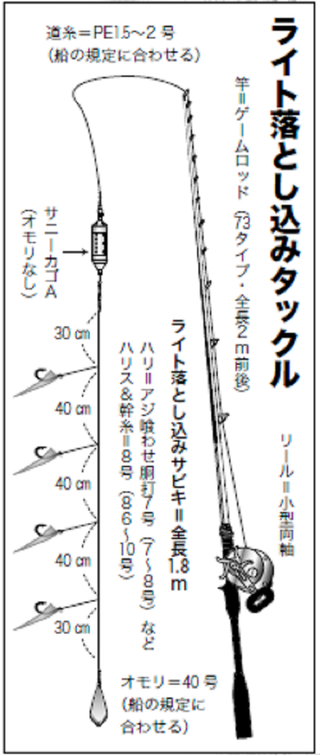 青物のツボ ライト五目編 流行間違いなし ライト落とし込み