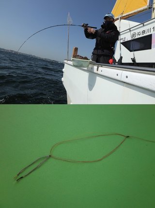 釣行の写真