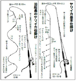 秋色三選 ヤリイカ