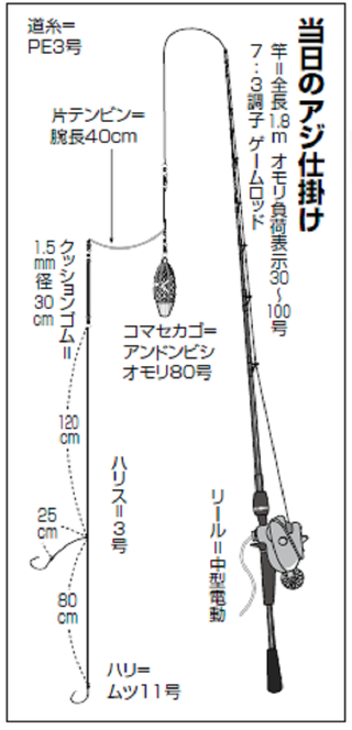 デカッ！評判どおり良型ぞろい！金谷の「金アジ」浅場で狙い目