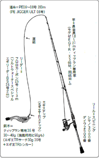 秋の餌木あそび】ティップランエギング