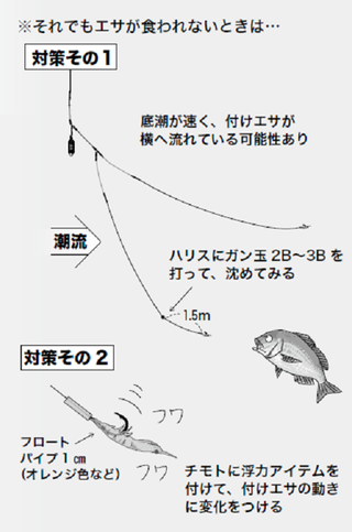 釣行の図