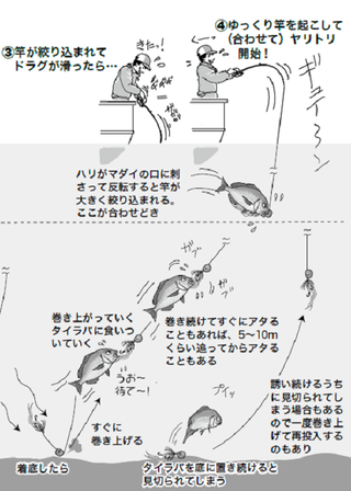 釣り方の図