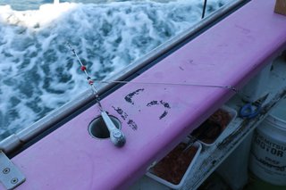 チドリ天秤No.305T型の写真