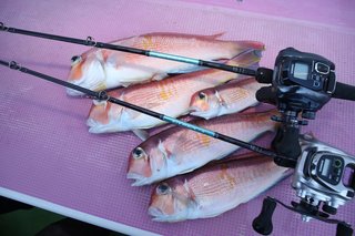 ライブラⅡの写真