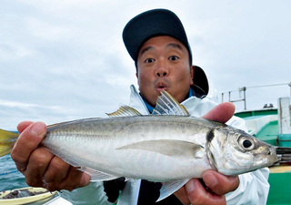 帰ってきた沖釣り探偵k 第8回 東京湾のマサバが減ってるって本当なの