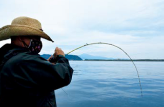釣行の写真