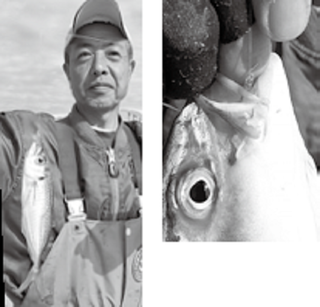 釣り人と魚の写真