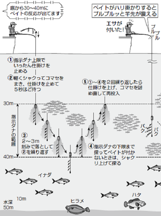 絶好調の青物を満喫！相模湾のイナダ五目