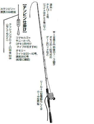 絶好調の青物を満喫 相模湾のイナダ五目