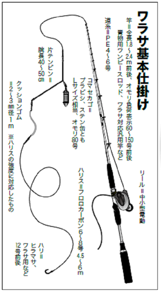 定番のコマセ釣りで良型青物をゲット コマセ釣りのワラサ入門