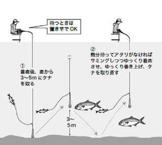 どこに行けば釣れる 泳がせ釣りのブリ