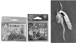 釣り具と餌の写真