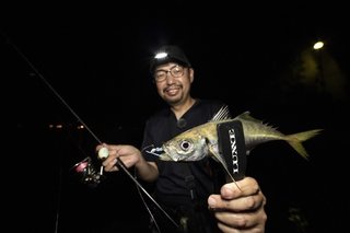 バルサMAXパロット限定 ハルシオンシステム エヌシコ96 BM Fin 30g 【シーバスルアー