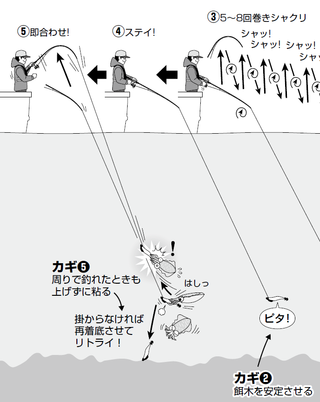 イカ先生のティップエギング クリニック