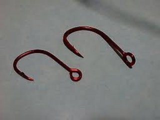 管つきバリの写真