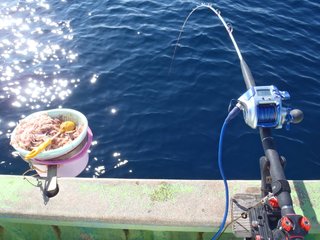 マキエと釣り竿の写真