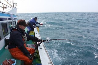 船釣りをする人の写真