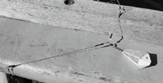 テンビンの写真