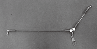 テンビンの写真