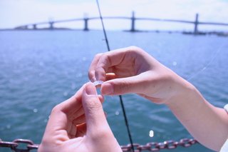 釣り人の手元の写真