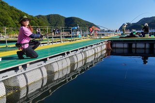 海上釣り堀 複雑な仕掛けもこれで解決 がまかつ 海上釣堀棒ウキワンタッチ仕掛 マダイ シマアジに