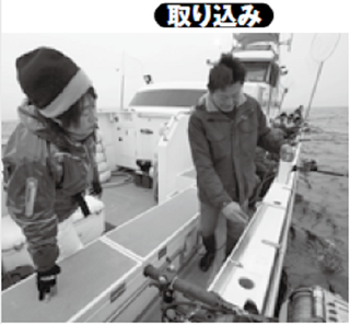 取り込みの写真