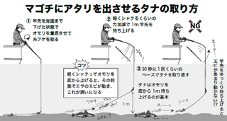 マゴチ 攻めの合わせ で獲得率アップ