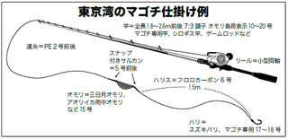 マゴチ 攻めの合わせ で獲得率アップ