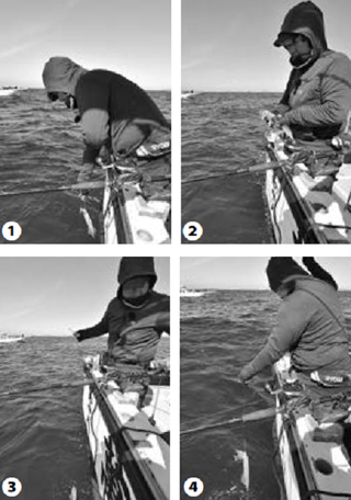 取り込みの写真