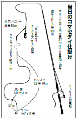 コマセダイの新テクニック！？追跡6B落とし込み釣法