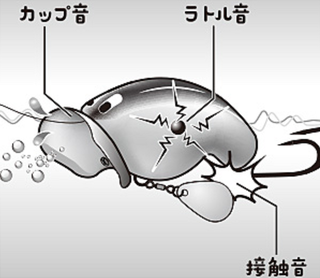 ふく鯰でナマズ釣りを満喫したい 22年新登場のトップウォーターノイジー