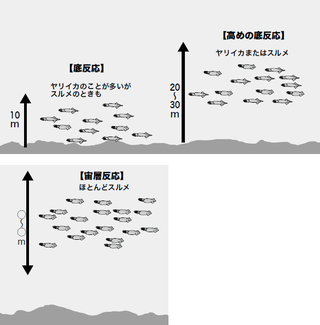 イカ名人 Yaccoさんの4月の沖イカ傾向と対策