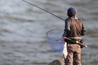 アイゴの基本情報徹底解説 その特徴や釣り方 美味しい食べ方をご紹介