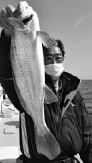 釣行の写真