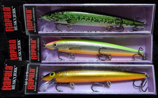 琵琶湖でバス釣りを楽しみたい！ポイント選び&おすすめルアー特集