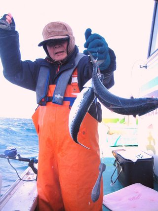 サバと釣り人の写真