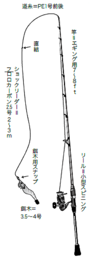 アオリイカ 船 ボートで乗っ込みの大アオリ